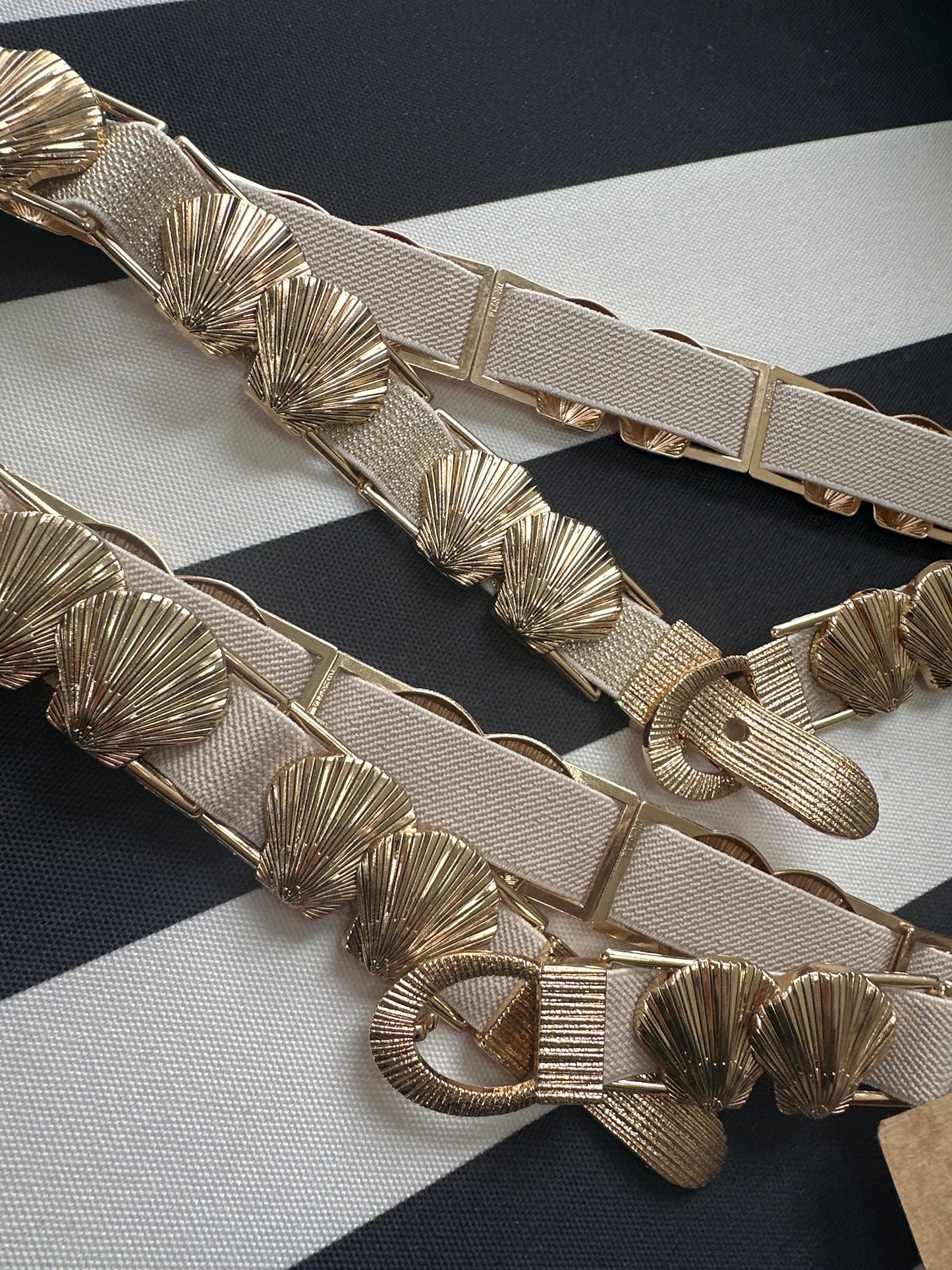 Seashells Belt