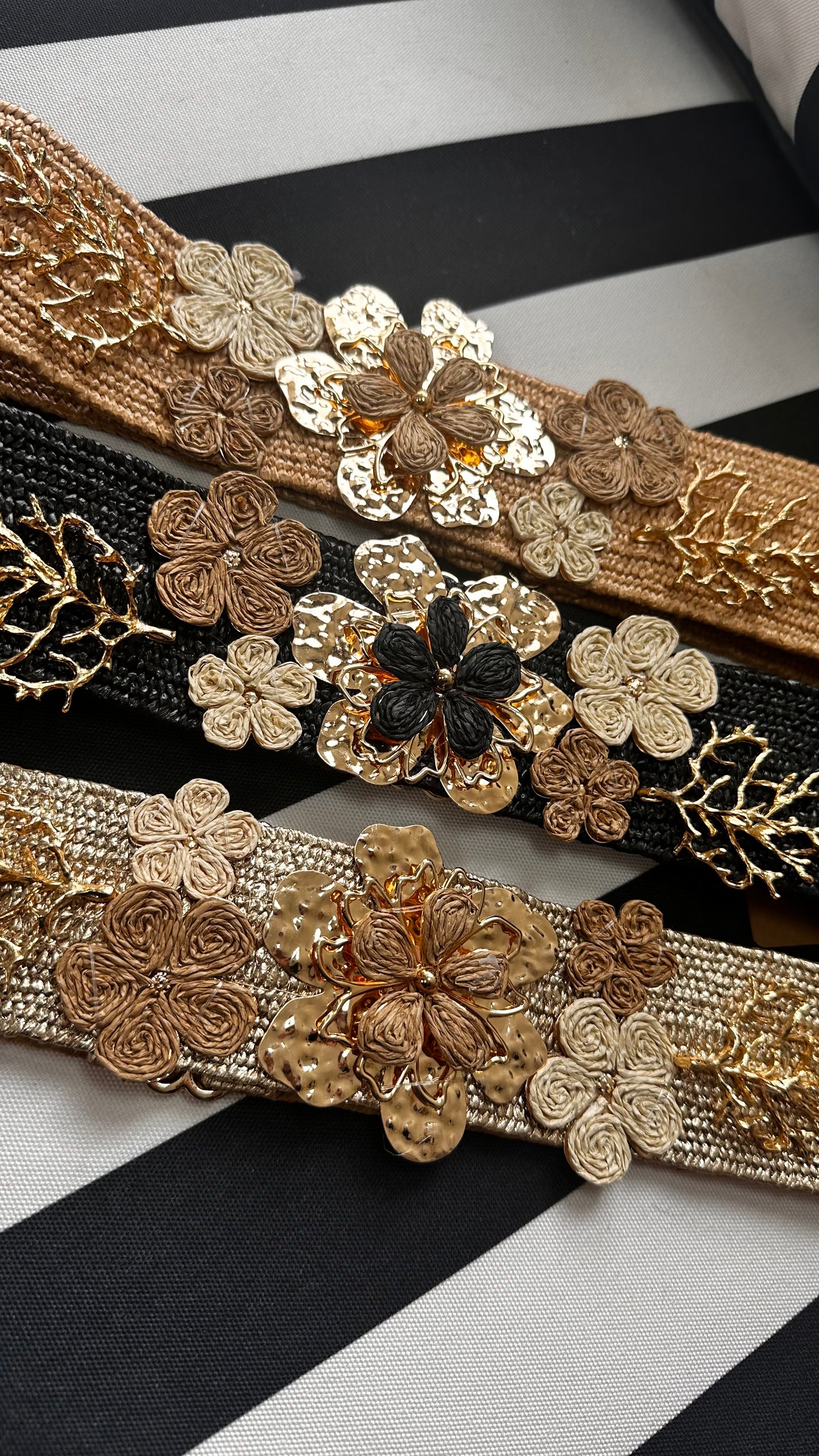 The EVE belt