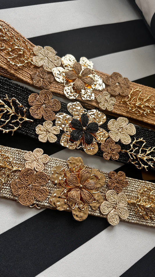 The EVE belt