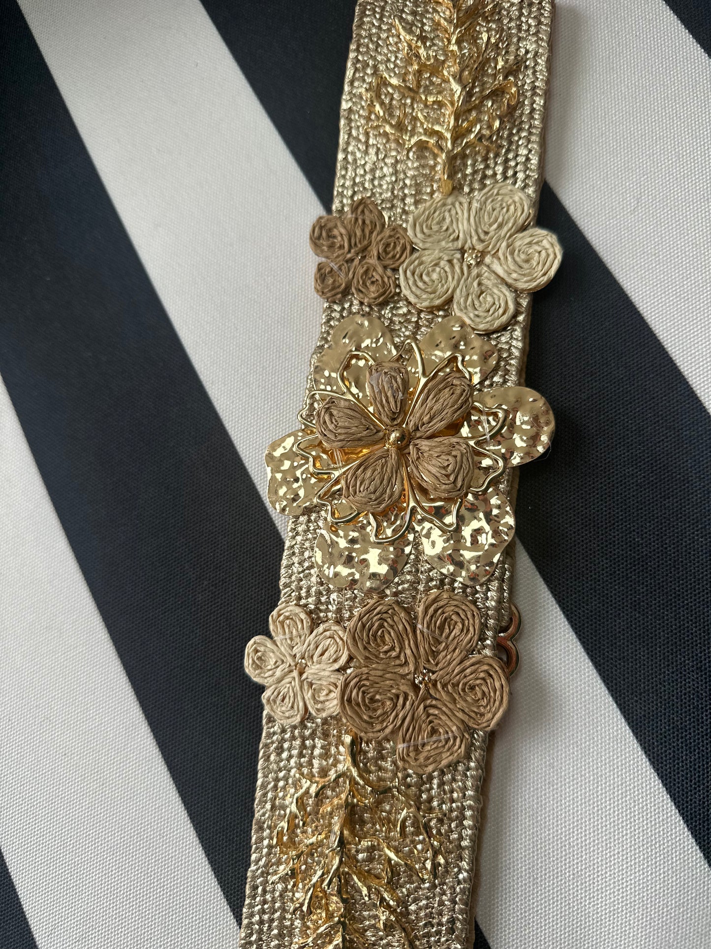 The EVE belt