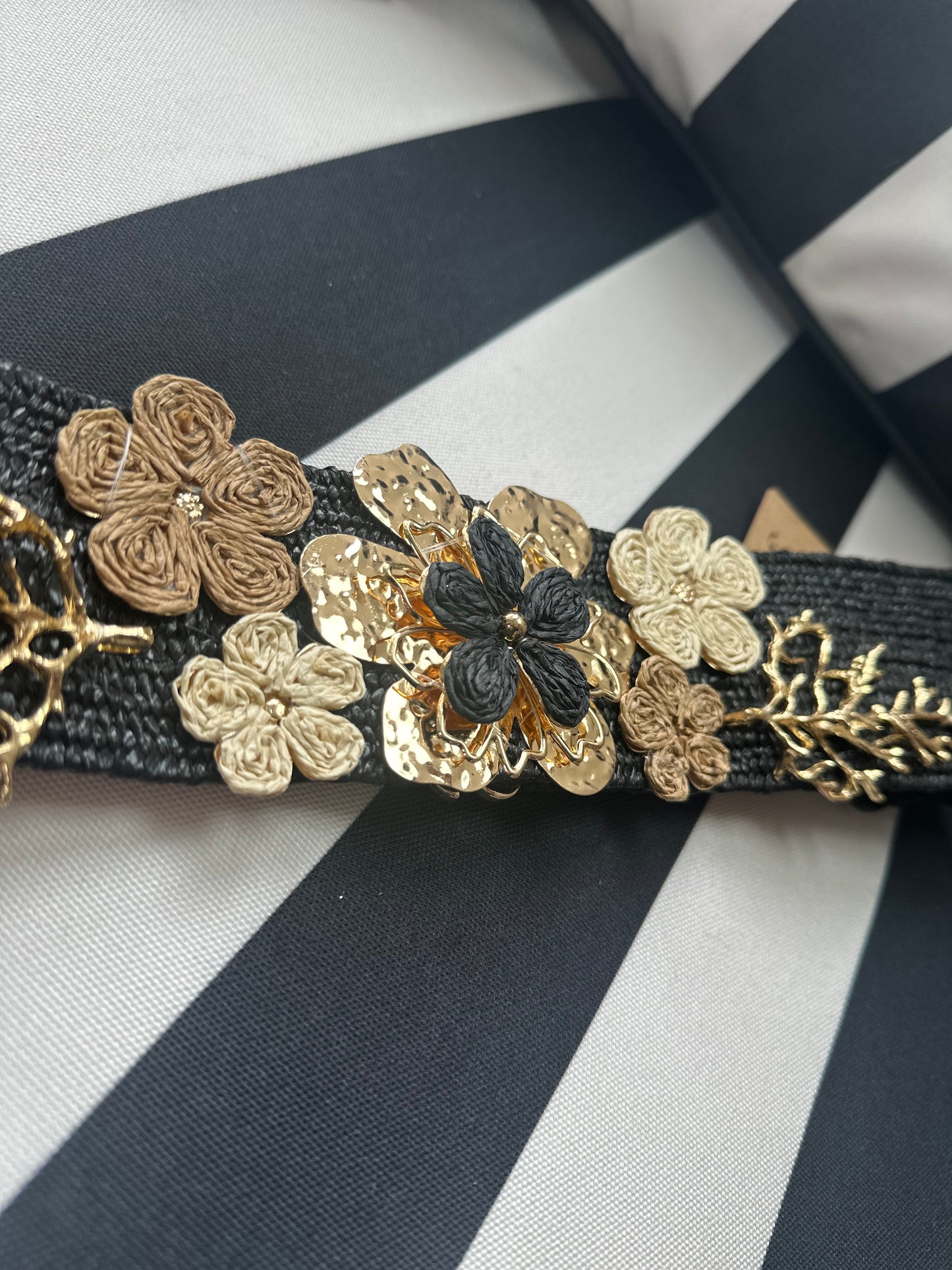 The EVE belt