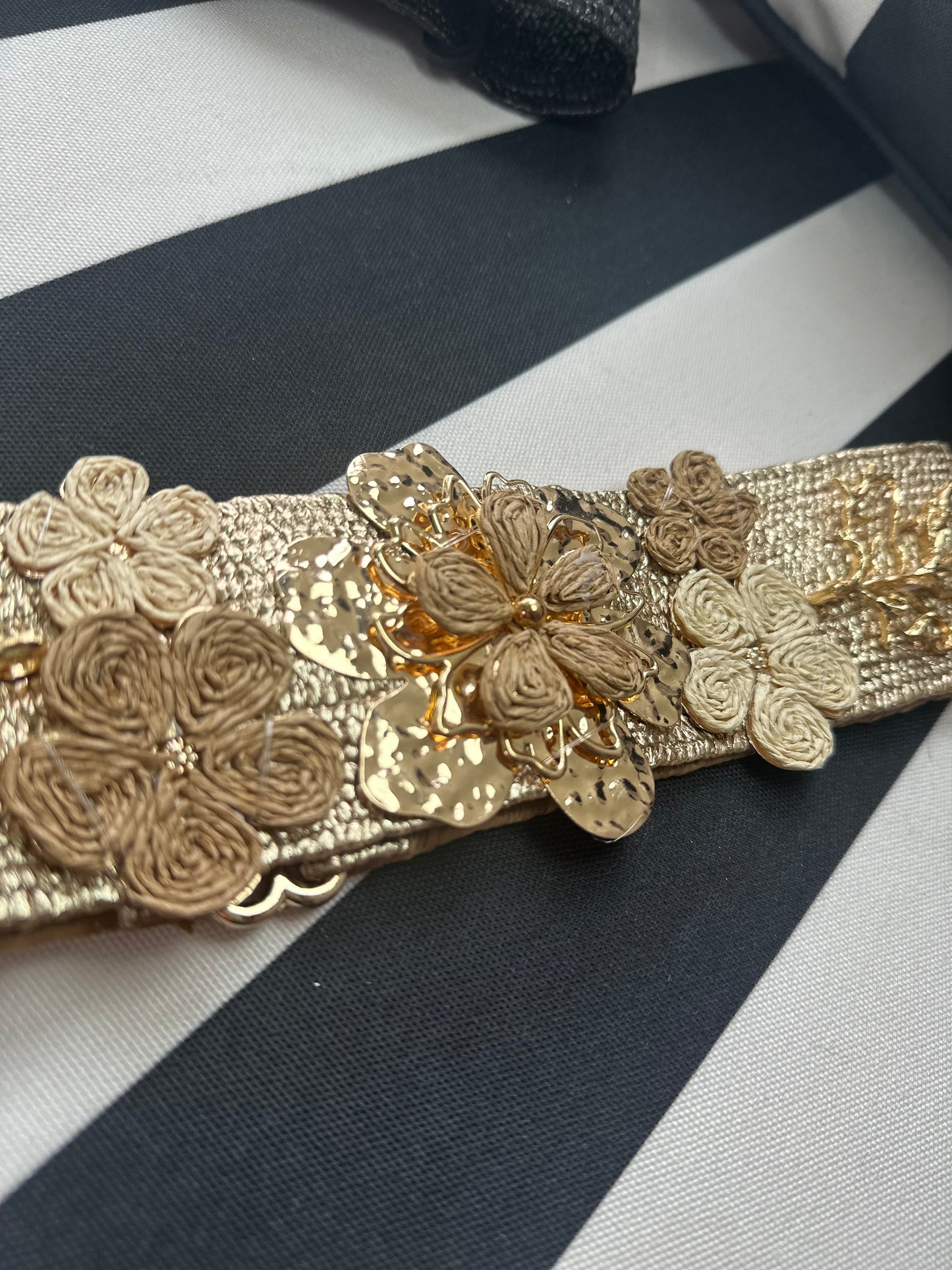 The EVE belt